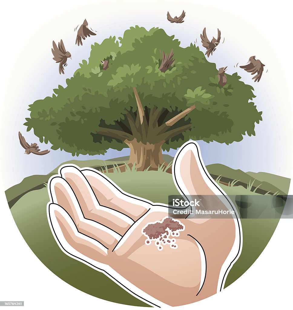 Parable of the Mustard Seed "Matthew 13:31, Mark 4:30-32, Luke 13:18-19" Mustard Seed stock vector