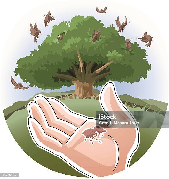 Parable Of The Mustard Seed Stock Illustration - Download Image Now -  Mustard Plant, Allegory Painting, Cartoon - iStock