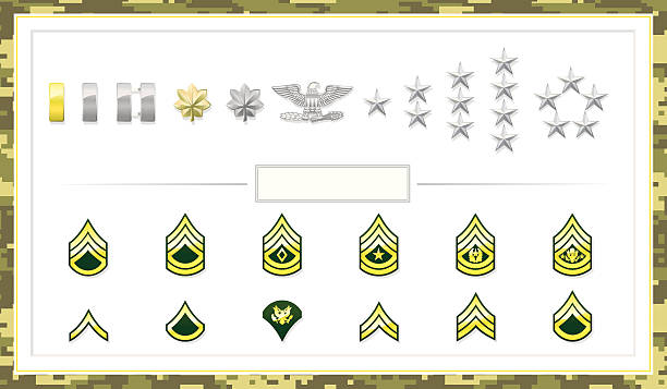 klasse insignias army - colonel stock-grafiken, -clipart, -cartoons und -symbole