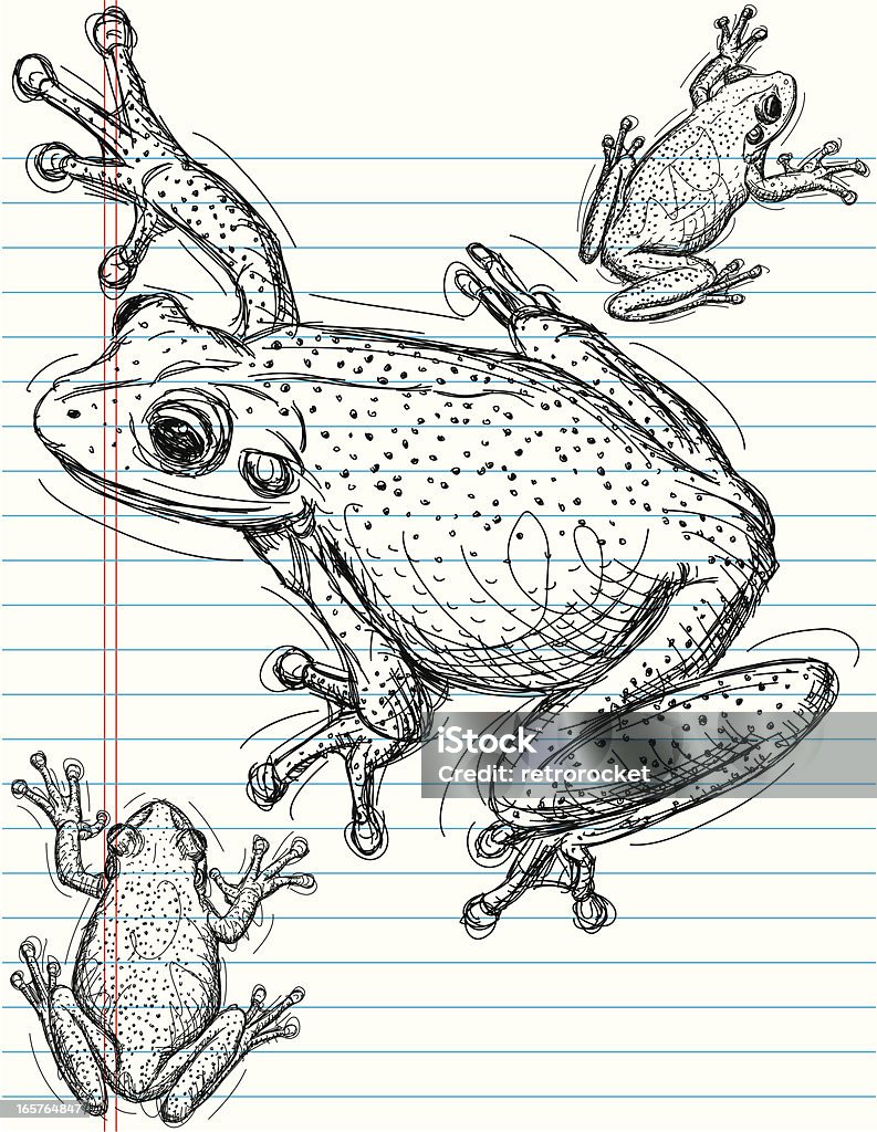 Frog sketches Frog sketches on notebook paper. The artwork is on a separate labeled layer from the paper. Frog stock vector