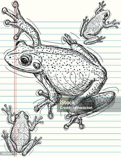 Frog Sketches Stock Illustration - Download Image Now - Frog, Doodle, Lined Paper