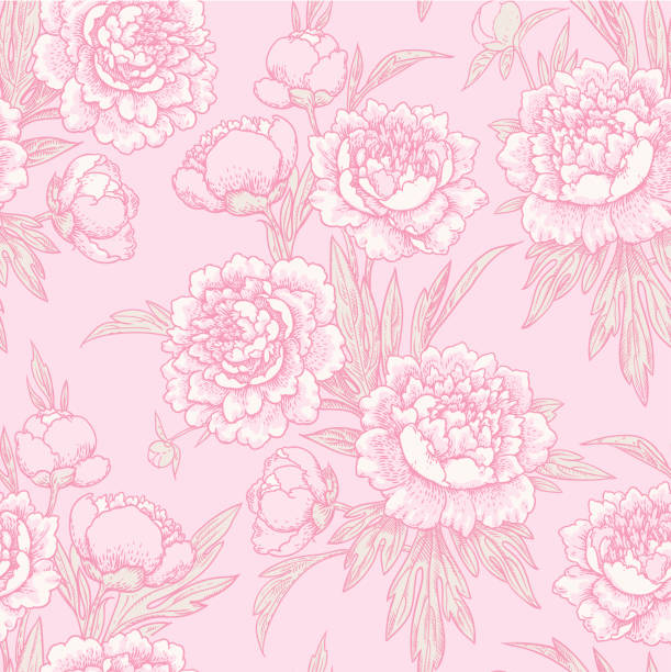 Pink peonies seamless рattern. vector art illustration