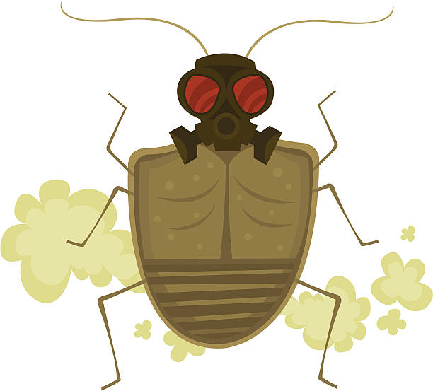 bildbanksillustrationer, clip art samt tecknat material och ikoner med stink bug - pentatomidae
