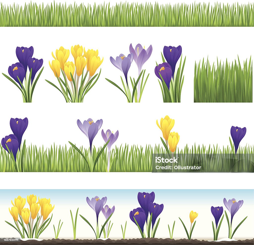 Collection of grass and crocus (seamless) Vector illustration of a collection of grass and crocus. Each element of grass can be strung together manually with itself to become seamless. If you need some assistance, just sitemail me.  Crocus stock vector