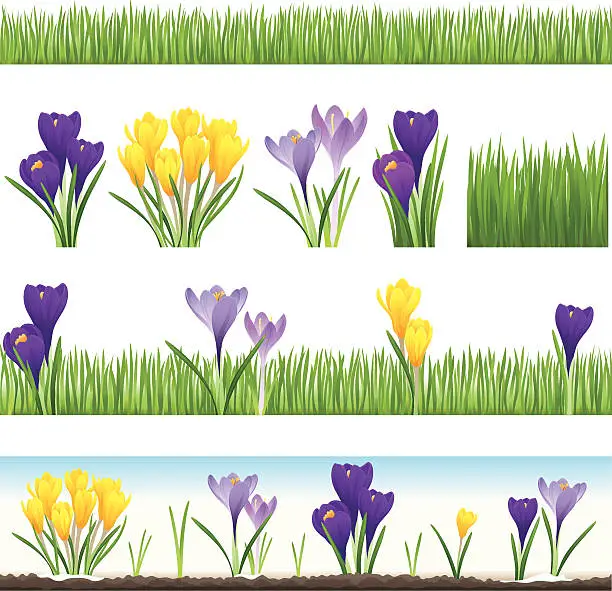 Vector illustration of Collection of grass and crocus (seamless)