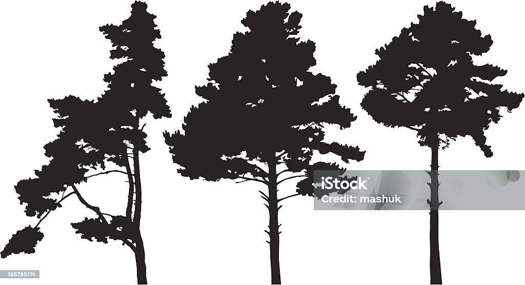 Pine trees file_thumbview_approve.php?size=1&id=23566757 Backgrounds stock vector