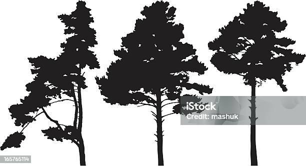 Pine Trees Stock Illustration - Download Image Now - Backgrounds, Black Color, Botany