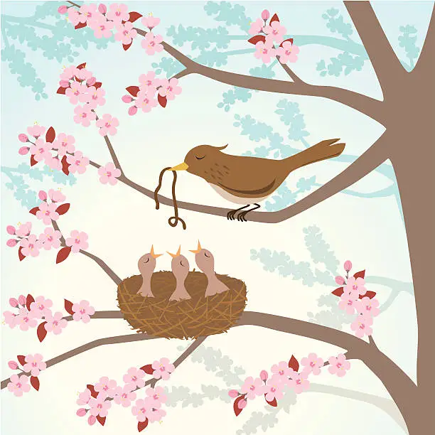 Vector illustration of Bird feeding chicks in a cherry tree