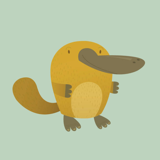 Bекторная иллюстрация Platypus