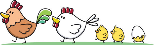 가족 어린 아동/루스터, 치킨 및 chick 말풍선이 있는 - newborn animal grass cute animal stock illustrations