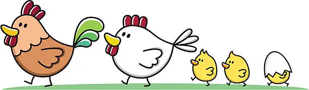 Vector illustration of family with young children / rooster, chicken and chick cartoon