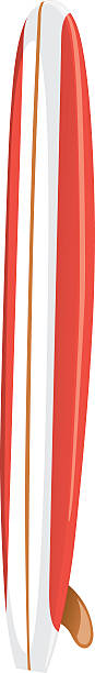 a single red and white striped longboard surfboard - ryan in a 幅插畫檔、美工圖案、卡通及圖標