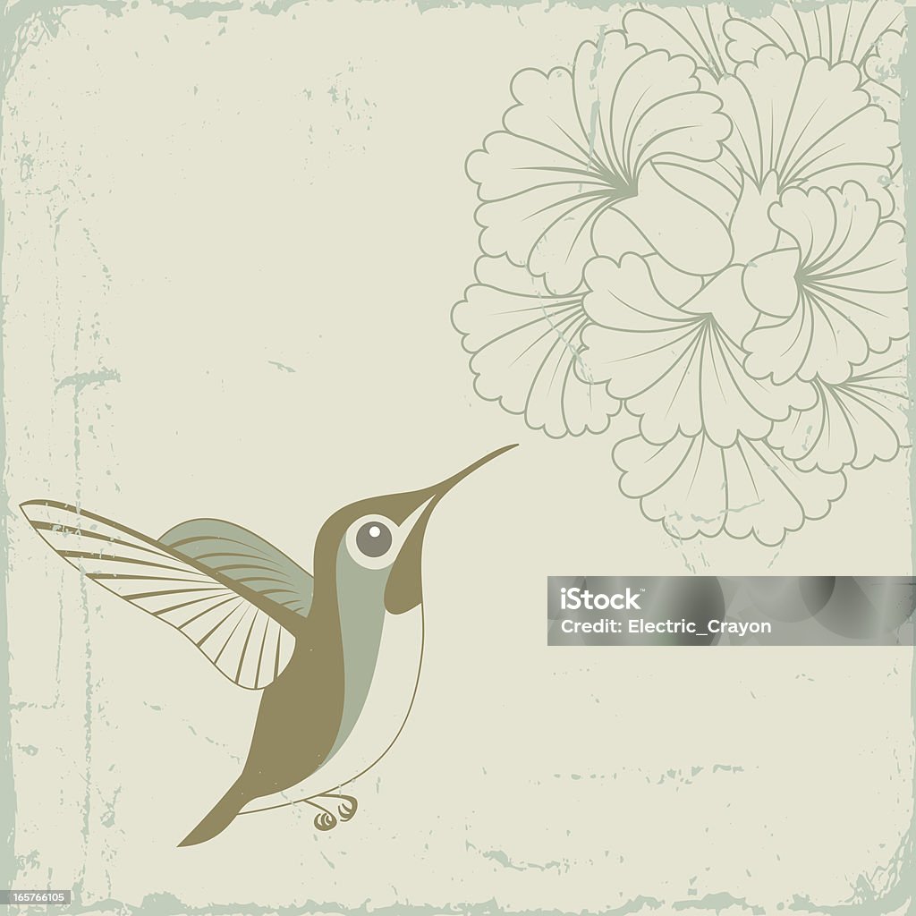 Hummingbird Vector illustration of a hummingbird and flower.  Texture on separate layer can be easily edited. Hummingbird stock vector