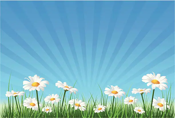 Vector illustration of Flower Background