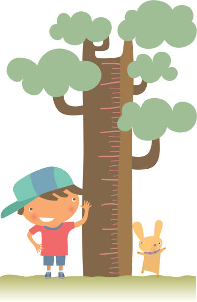 Young boy and pet checking their height against a tree Little Boy is measuring her height. Zip contains AI, Jpeg and PDF formats. boy height measure stock illustrations