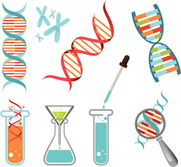 набор науки - dna helix helix model red stock illustrations