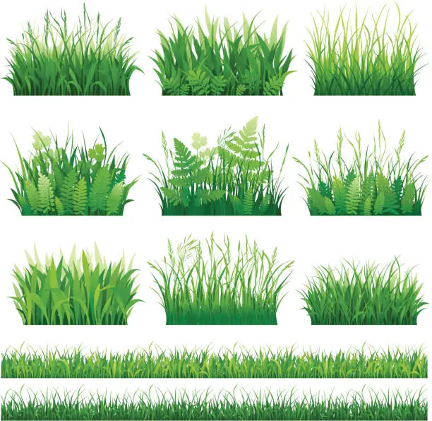 Vector illustration of Set of grass