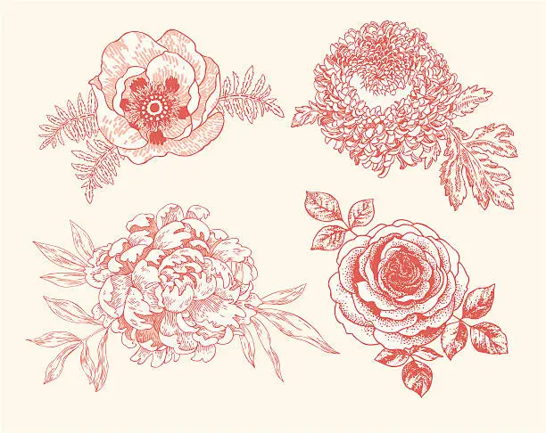 Vector illustration of Floral Vignettes