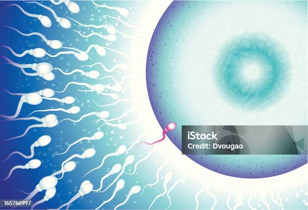 Un Seul Vecteurs libres de droits et plus d'images vectorielles de Fertilité humaine - Fertilité humaine, Biologie, Bleu