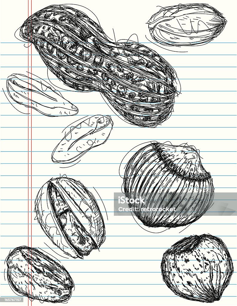 Cacahouète, pistache et chestnut Croquis - clipart vectoriel de Aliment libre de droits