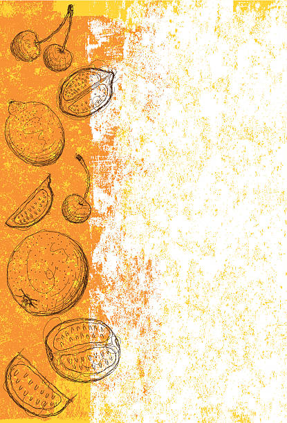 ilustrações de stock, clip art, desenhos animados e ícones de fundo de frutas mistas - orange portion vector textured