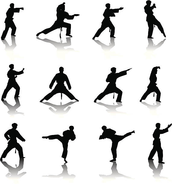 ilustrações de stock, clip art, desenhos animados e ícones de silhueta de karaté - karate kickboxing martial arts silhouette