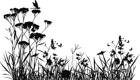 Meadow silhouette with butterfly and a dragonfly.