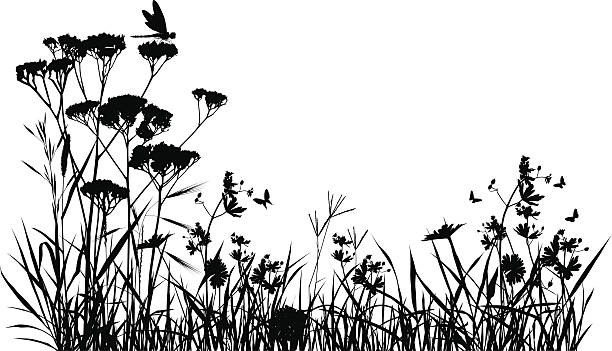 Meadow Silhouette Meadow silhouette with butterfly and a dragonfly. butterfly insect stock illustrations