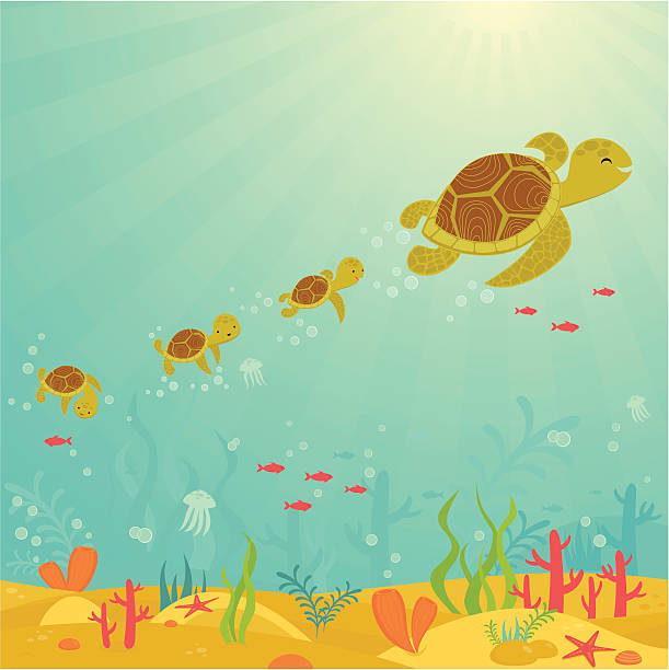 illustrations, cliparts, dessins animés et icônes de économisez tortue de mer - jellyfish sea green underwater