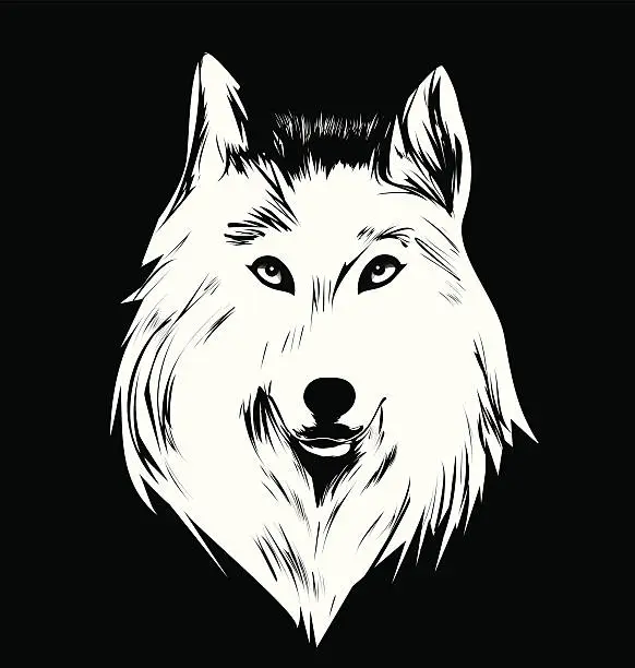 Vector illustration of White wolf, 1 color version
