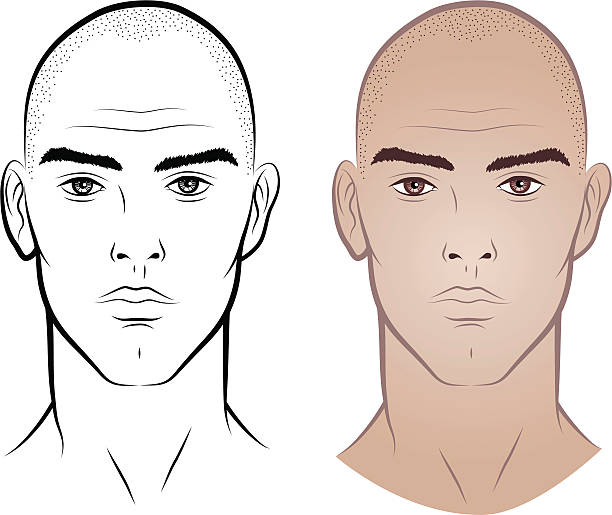 illustrazioni stock, clip art, cartoni animati e icone di tendenza di uomo senza peli - shaved head
