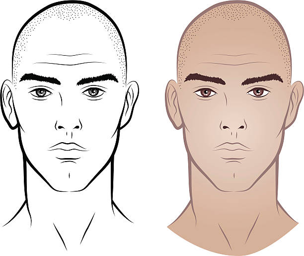 남자 없이요 머리 - completely bald stock illustrations