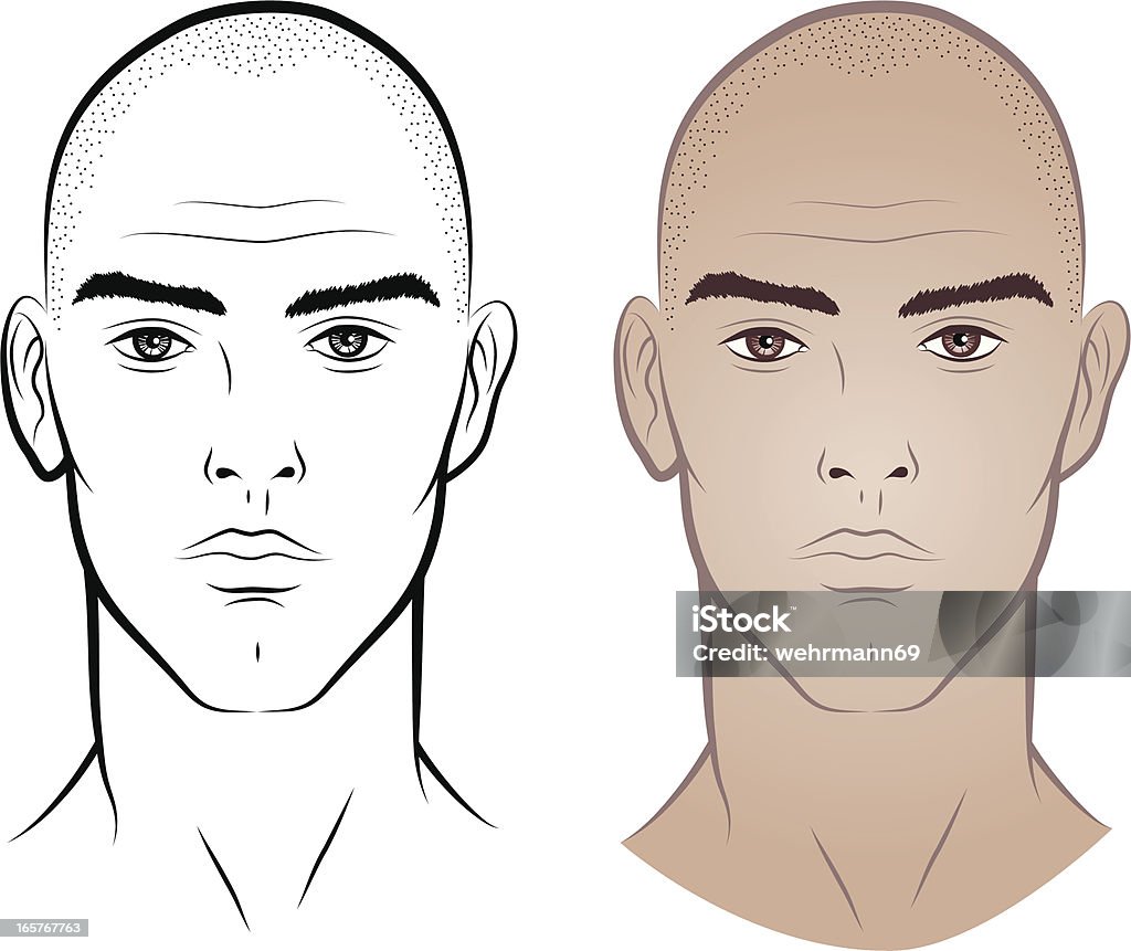 Man without hair Vector-illustration of a young man's face without hair Human Face stock vector