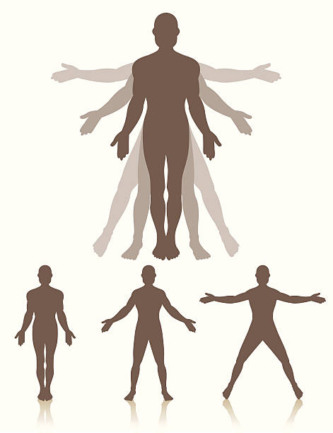 Motion Man A man standing in three different positions that are part of the motions involved in exercising or moving.  A large character is shown with silhouettes behind in the two other positions, with arms being raised and legs and feet spreading out.  Also three characters in each position alone. jumping jacks stock illustrations