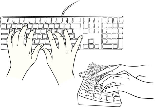 Hands using keyboard Vector line illustration of hands using a keyboard. One of a series. typing on computer keyboard stock illustrations