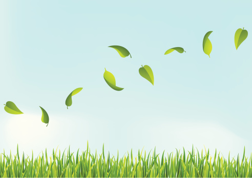 Vector illustration of a flying leafs on sky with grass.