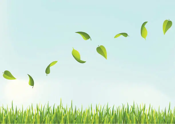 Vector illustration of Several leaves flying above the grass