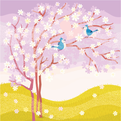Blue Jays couple sitting on a cherry blossom tree. Vector.