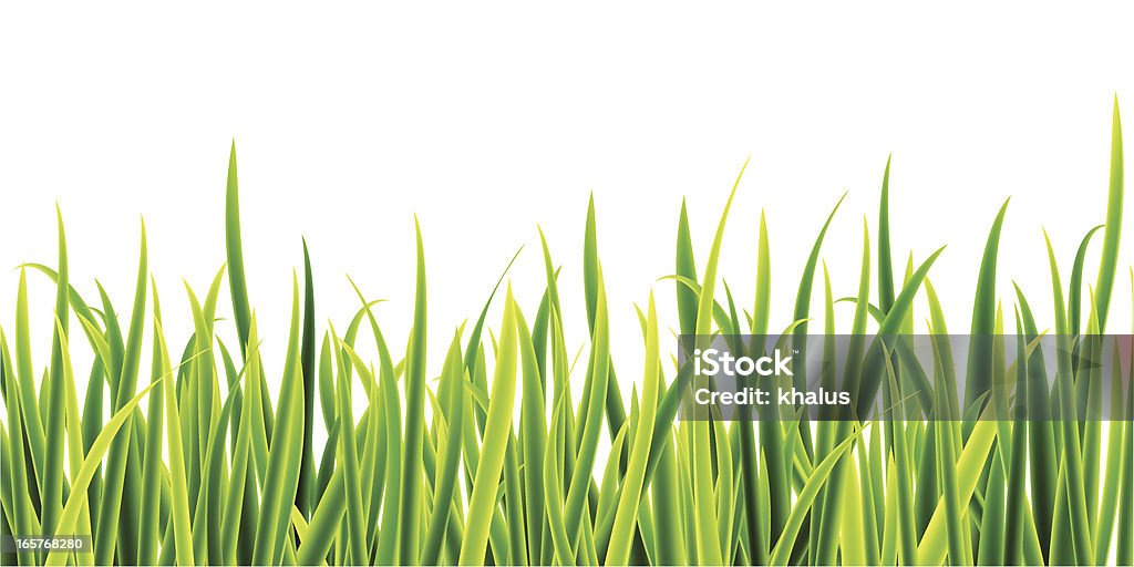 Grass - Grafika wektorowa royalty-free (Źdźbło trawy)