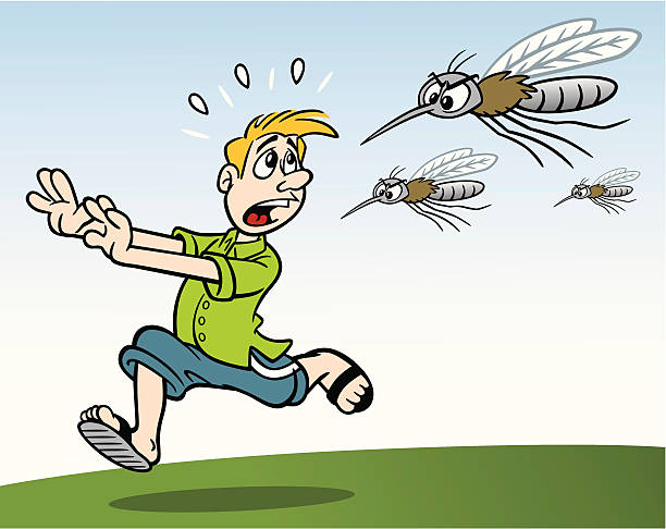 Man Being Chased By Mosquitos Great illustration of a man being chased by mosquitoes. Perfect for a summer illustration. EPS and JPEG files included. Be sure to view my other illustrations, thanks! black fly stock illustrations
