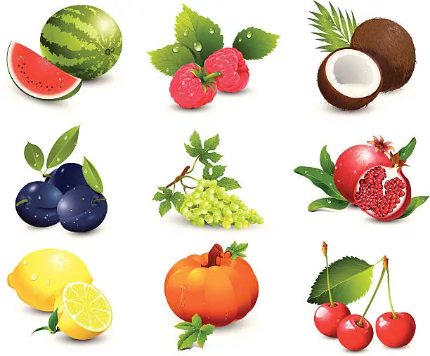 Vector illustration of Fruit