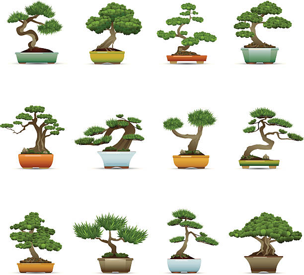 illustrations, cliparts, dessins animés et icônes de bonsaï icônes - pin illustrations