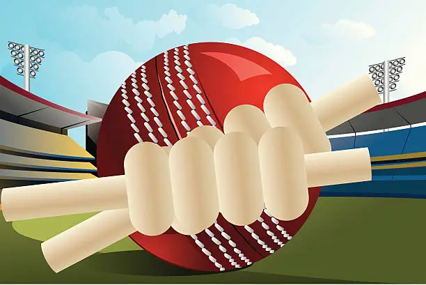 Vector illustration of Cricket celebration