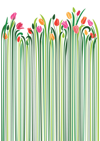 An illustration of tulips with very long green stems