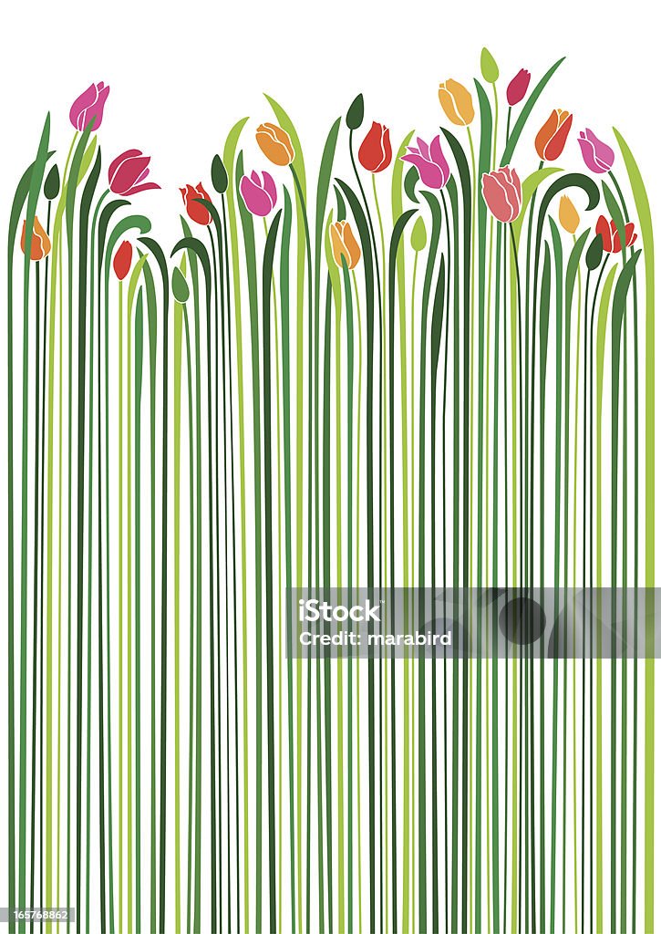 An illustration of tulips with very long green stems An original artwork vector illustration of the springtime Tulip flower in various nuances of the colors yellow, red, pink, with green buds and long stems in various shades of green, all on white background. A vertical portrait composition, seamless pattern. Can be used as a postcard, a flyer, wrapping paper. Flower stock vector