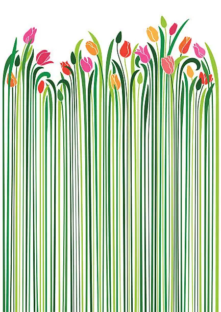 Vector illustration of An illustration of tulips with very long green stems