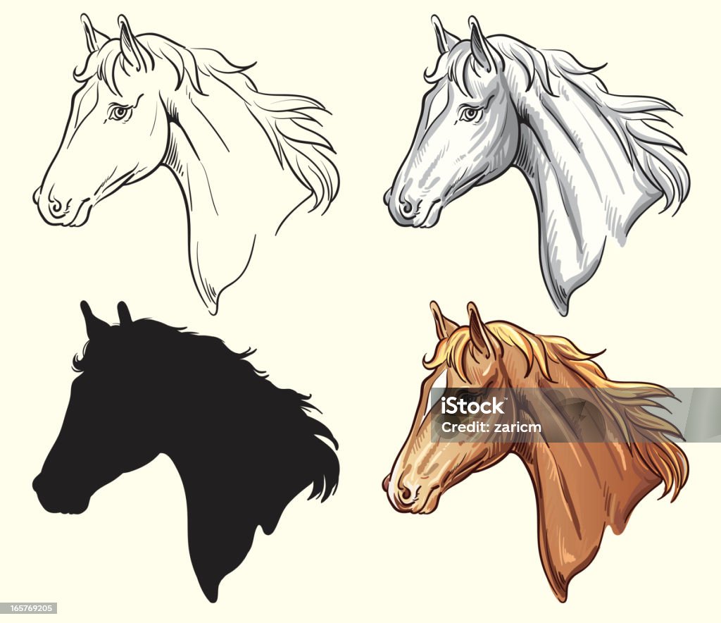 Tête de cheval - clipart vectoriel de Animaux domestiques libre de droits