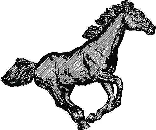 Vector illustration of Illustration of a horse gallopping