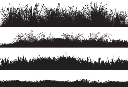 Silhouettes of highly detailed vector grass floors containing reeds, dry grass, high grass and low grass.