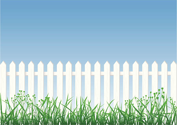 White Picket Fence, Grass And Sky White picket fence, grass and sky. picket fence stock illustrations
